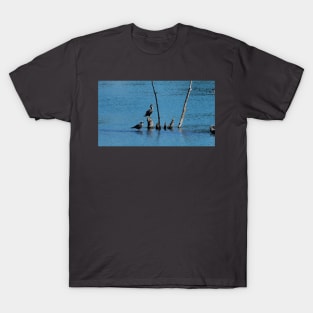 Double-crested Cormorant And Gull On A Tree T-Shirt